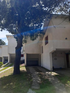 El Mangrullo